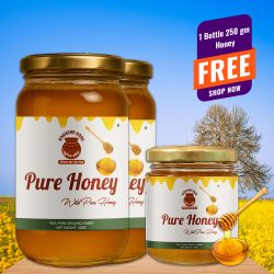 Honey-500+250